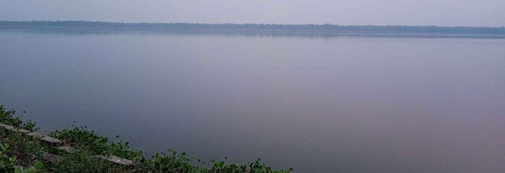 Sharda sagar dam birds -watching