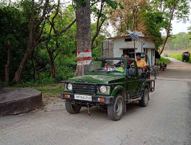 Jungle safari in pilibhit tiger reserve and chuka beach