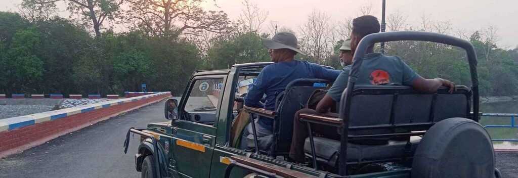 Thrilling Jungle Safari