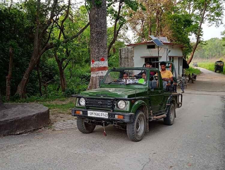 Gypsy Jungle Safari