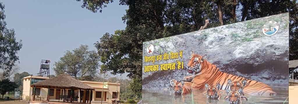 Discovering Kishanpur Wildlife Sanctuary
