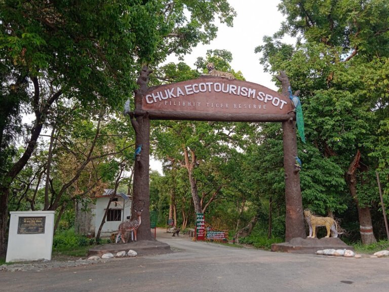 Pilibhit Tiger Reserve vs Dudhwa National Park