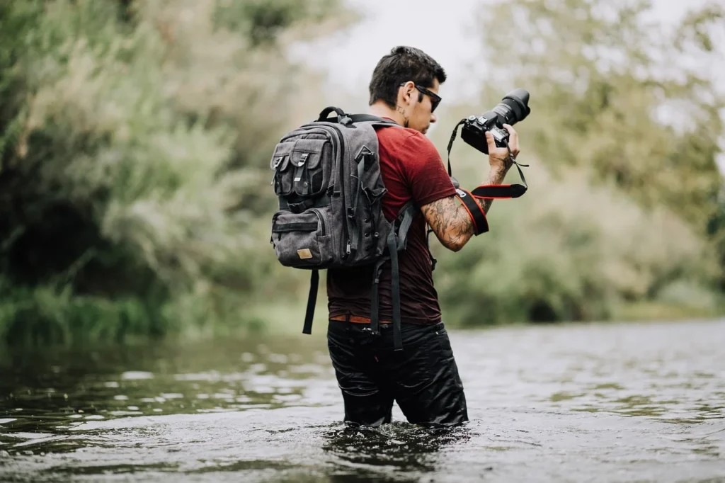 Wildlife Photography