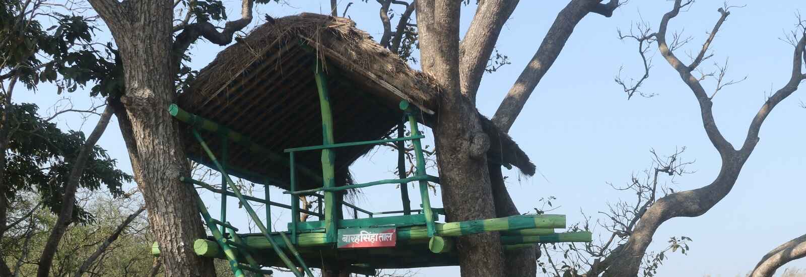 Barahsingha Tal At Pilibhit Tiger Reserve