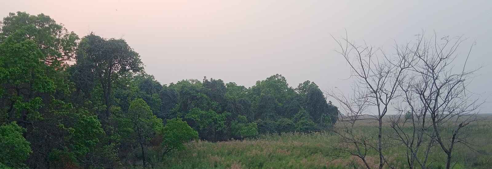 Pilibhit Tiger Reserve - Best Time To Visit