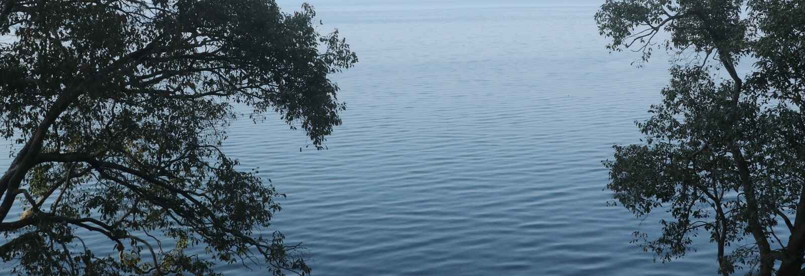 Chuka Beach at Pilibhit Tiger Reserve