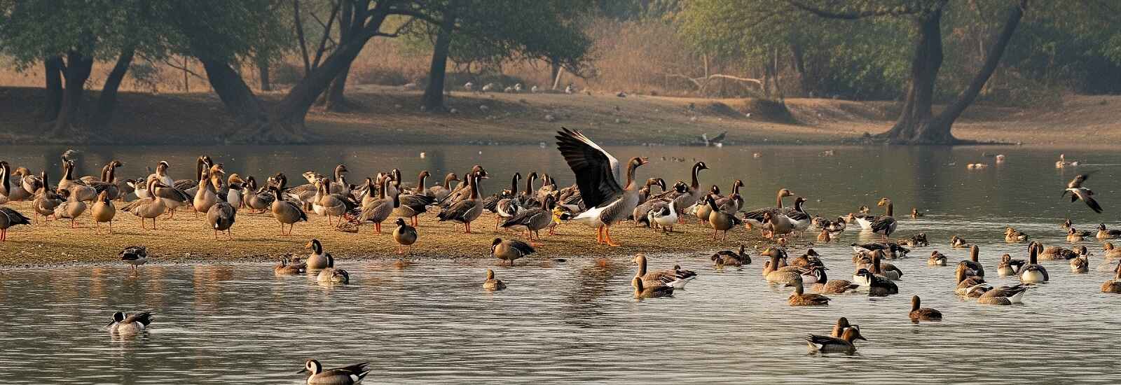 Pilibhit Tiger Reserve Near By Places To Visit