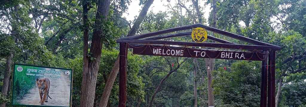 Padaria Beat Bhira Range Buffer Zone of Dudhwa