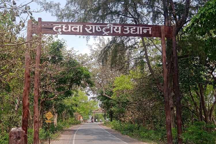 Dudhwa National Park near by Pilibhut Tiger Reserve