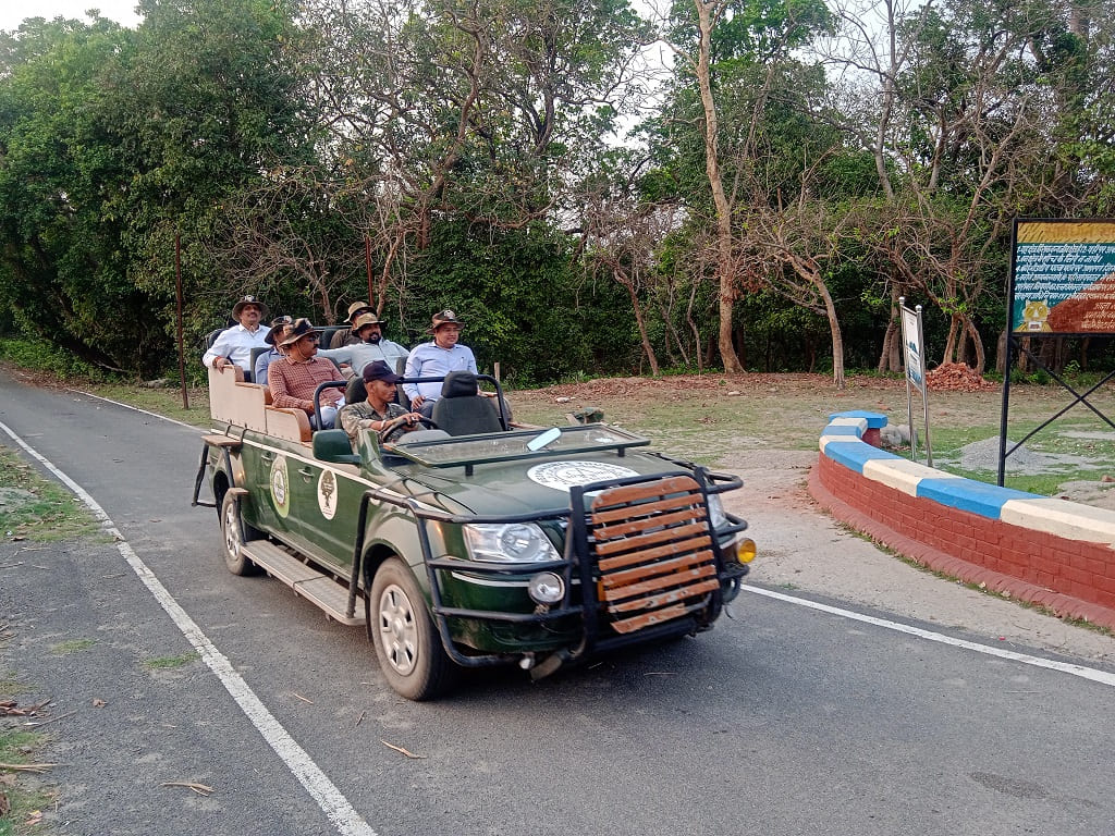jungle safari pilibhit tiger reserve
