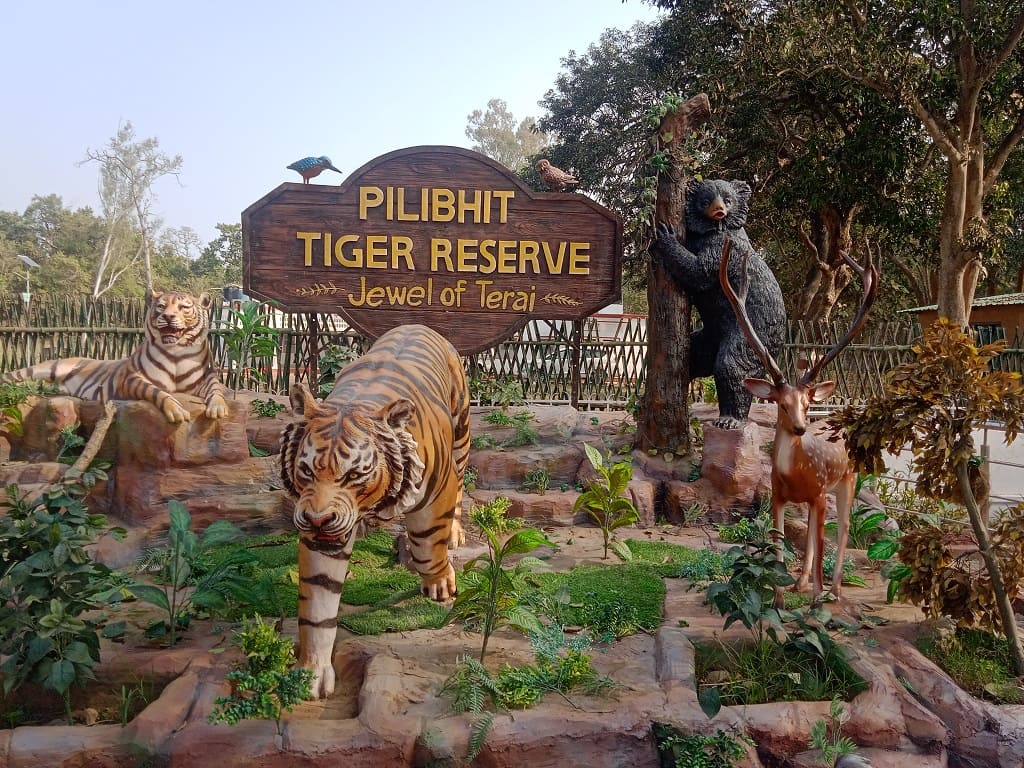 pilibhit tiger reserve jewel of terai