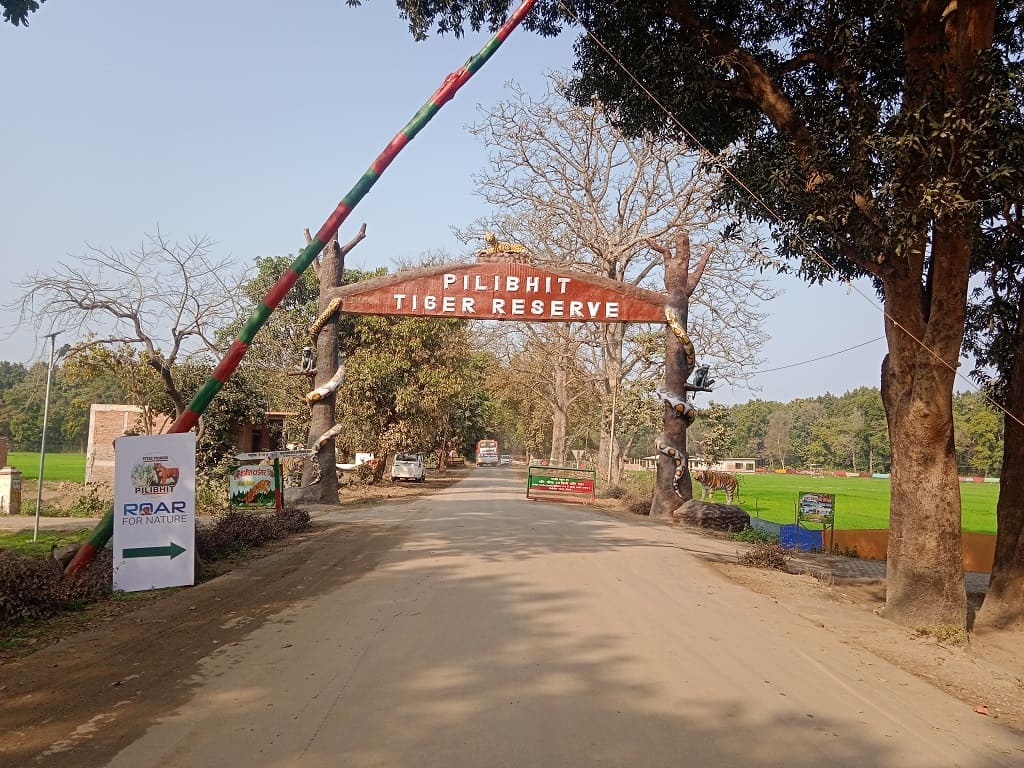 welcome gate pilibhit tiger reserve