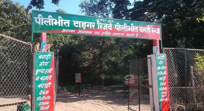 Safari From Barahi Gate Zone 2 Pilibhit