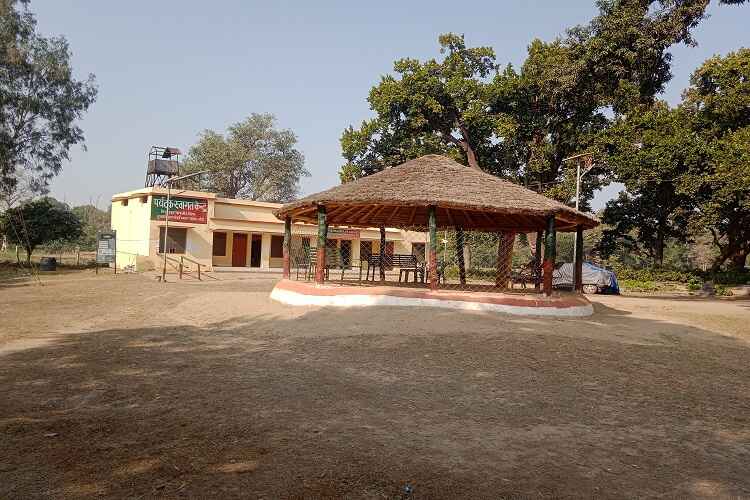 Kishanpur Wildlife Sanctuary near by Pilibhit Tiger Reserve