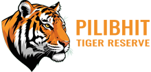 Pilibhit Tiger Reserve Logo