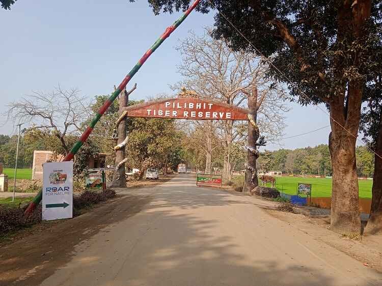How to Reach Pilibhit Tiger Reserve & Chuka Beach