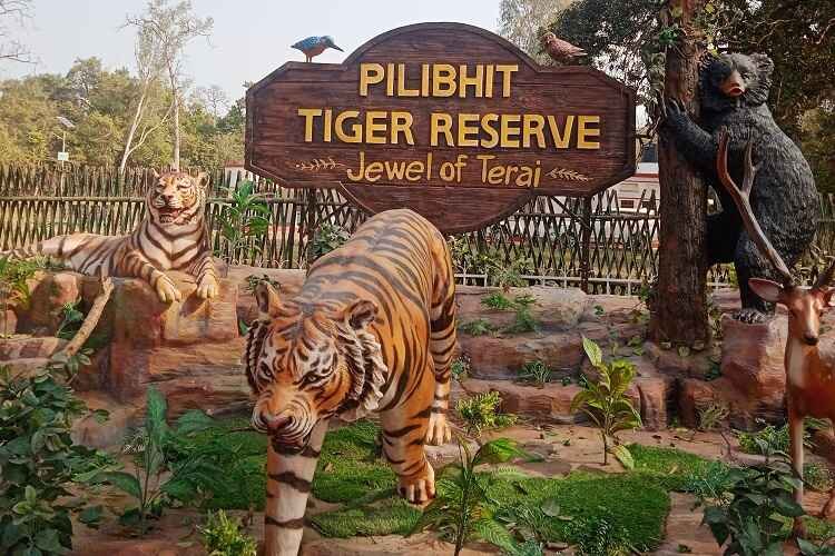 Website - Pilibhit Tiger Reserve | Jungle Safari, Chuka Beach